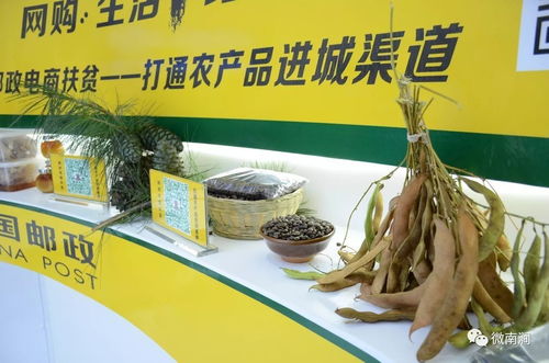 電商助農 南澗農特產品迎來電子商務黃金時代